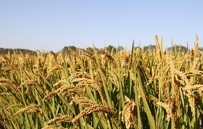 8088822_104009106000_2 8088822_104009106000_2